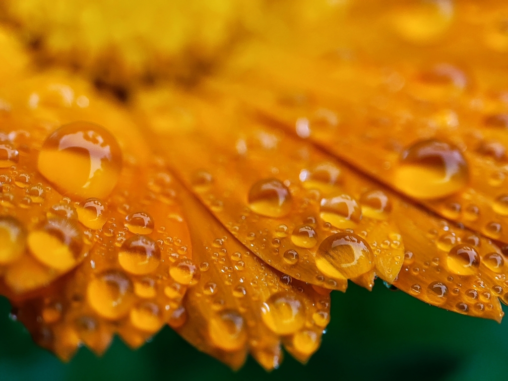 shutterstock_2378103401